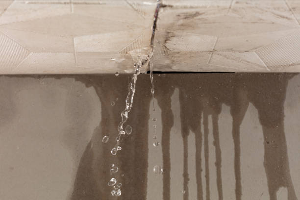Professional Sewage Cleanup technician working in Sevierville, TN